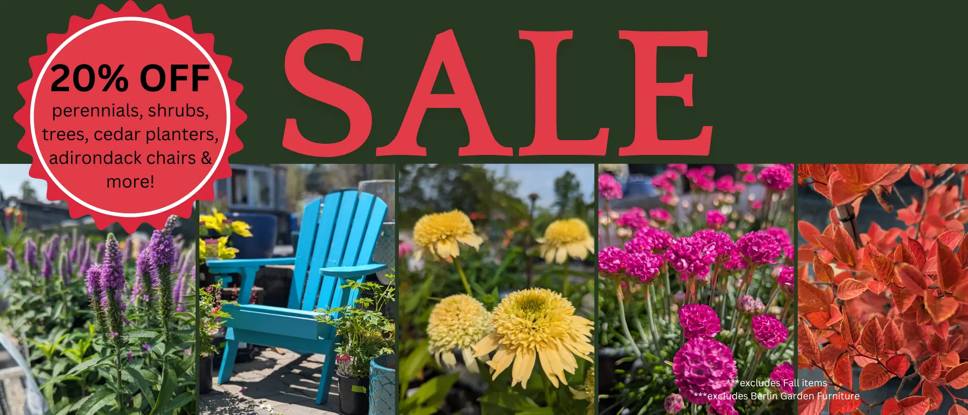 20% off Sale on perennials, shrubs, trees, cedar planters, adirondack chairs and more!