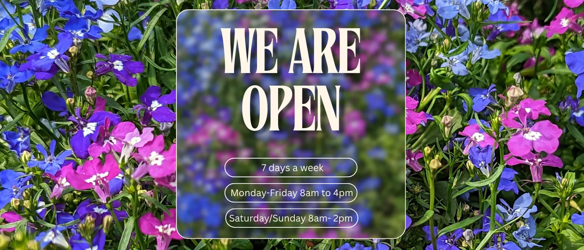 We are open! - Mon-Fri: 8am - 4pm, Sat/Sun: 8am - 2pm