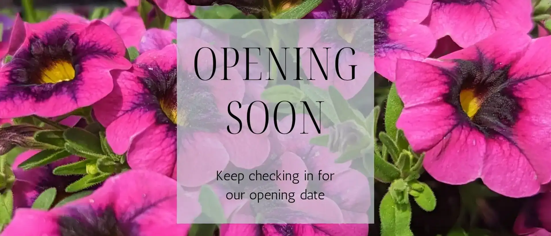 Opening Soon - Keep checking in for our opening date.